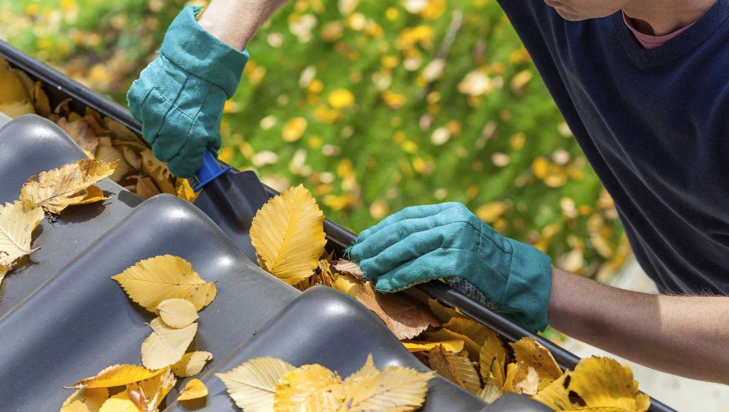 man with gloves on cleaning leaves out of gutter